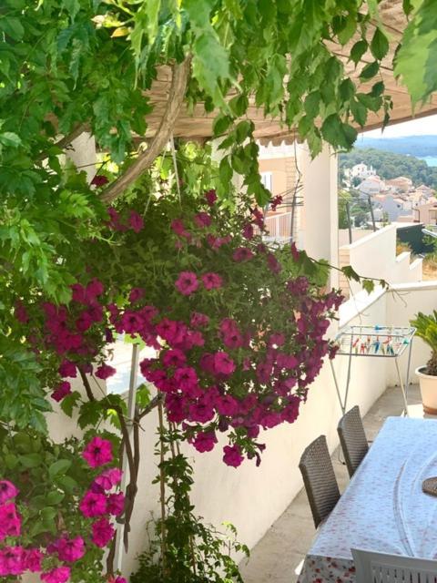 Apartament *new Apartment* Petra